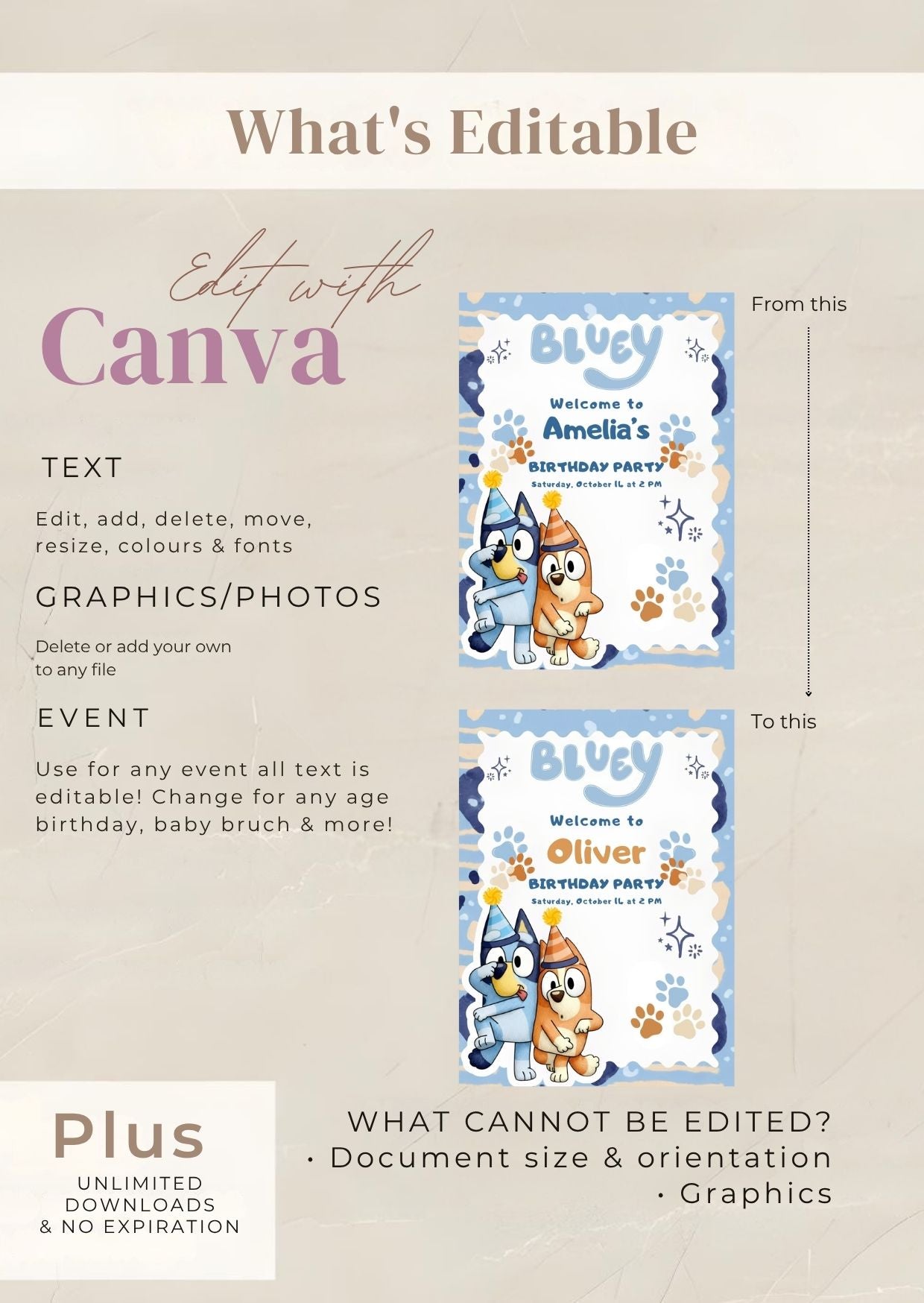 Bluey birthday welcome sign editable design with customizable text for party events