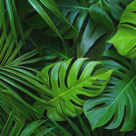 Lush green tropical leaves background, featuring various palm and monstera leaves in vibrant shades of green.
